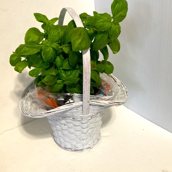 PRINCESS Farmhouse Wicker Woven Basket Flower Plant Pot Centerpiece White - Picture 3 of 9